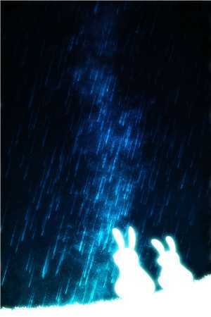 我在风花雪月中等你程枫何柔清无删减全文