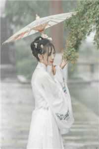 正义使命:结局+番外