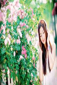 神豪：月入亿万万，签个未来天后怎么了？赵佳江诚前文+后续