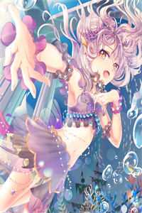 十二生肖花缘秘史灵慧梅花全文