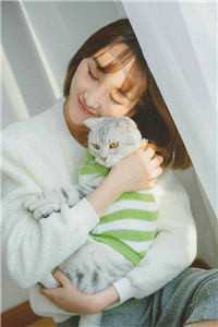 权道之夫人们太给力了:全本+番外+后续