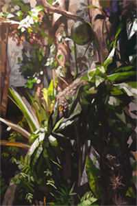 世事如花落晓风完结版傅晏池林柒