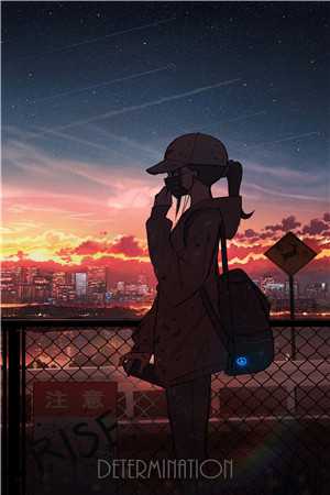 似锦怜花高口碑