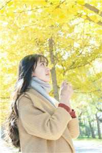 离婚后，她成了全球追求对象小说周晓洁沐总完结版