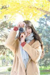 平遥情殇全文无删减