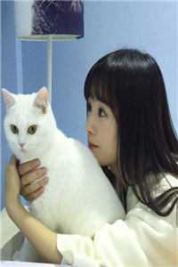 世子太凶猛：闯相府抢姑娘杨束陆韫:全章+后续