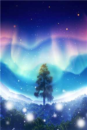 穿越后我成了爹不疼娘不爱的棋子景城宸慕雪尔小说