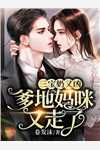 红尘多无情:全文+结局+番外