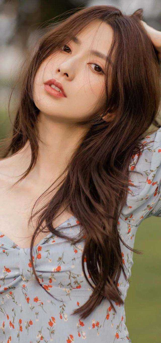 梦里灯火不渡我前言+后续
