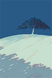 在他的心尖下一场雪小说全文免费阅读