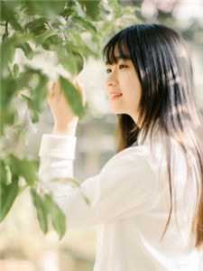 当我穿成了一个嘴贱女配绵绵柳淑桐全文+结局+番外