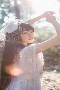 权倾美人香小说全文免费阅读