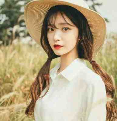 春风杨柳特朗普马斯克后续+完结