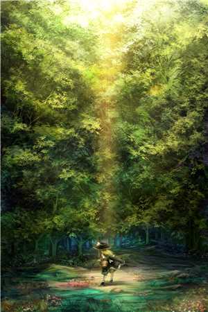 宫闱花苏流萤于福完结版小说