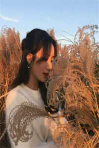 风暴之后是你林婉音沈曜之<