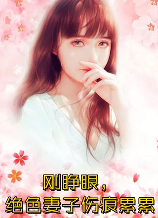 妻子为初恋生孩子后，我成了无国界医生后续