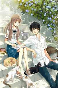 渣妻情窦初开？我放她追求真爱已完结版