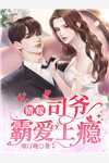 破碎的房贷谎言陆晓峰王莉:全章+后续