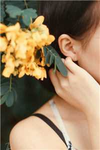 重生之打脸白莲花:(番外)+(结局)