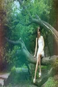 有一种遗憾叫我们：樱花之恋:全本+番外+后续<