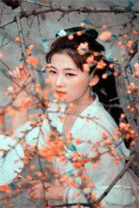 爸妈不爱的真千金，竟是道上真大佬结局+番外+完结