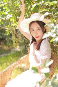 霸总别追了，夫人只想拿钱独美前文+番外