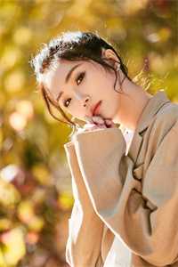 磁律千劫后续+无弹窗