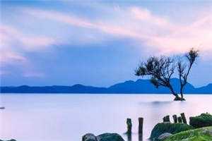 迎娶截瘫不孕京圈小公主后，她们三个急了沈年年顾家全文+后续+结局