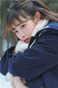 末世降临：我靠打猎养美女秦阳叶雪儿无删减+无广告