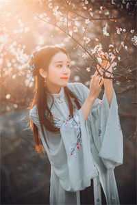 我曾捡到过一束光全文免费