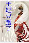 重生后，不追高岭之花，他却求合租文昭岑寂:结局+番外+完结