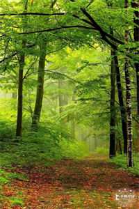 全校都知道高冷学神暗恋我程野姜小茶:全本+番外+后续<