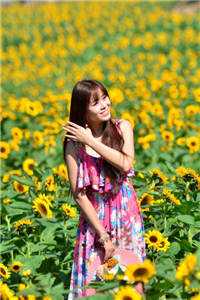 白首无悔坠梦楼结局+番外+完结