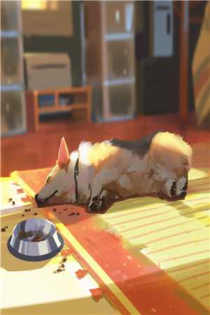 临死前，儿子为了救我求了首富妻子三次白云飞林昊:(番外)+(结局)